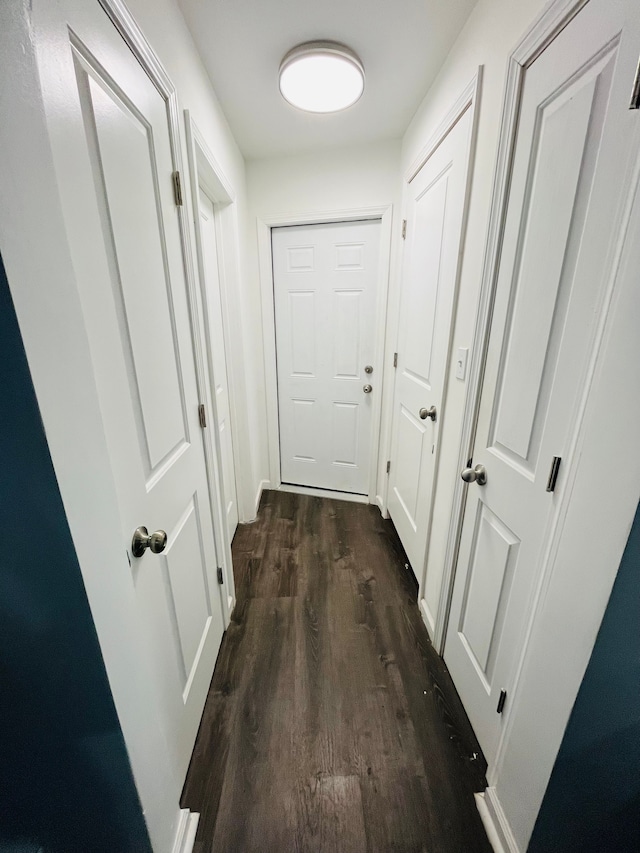 hallway featuring dark hardwood / wood-style flooring