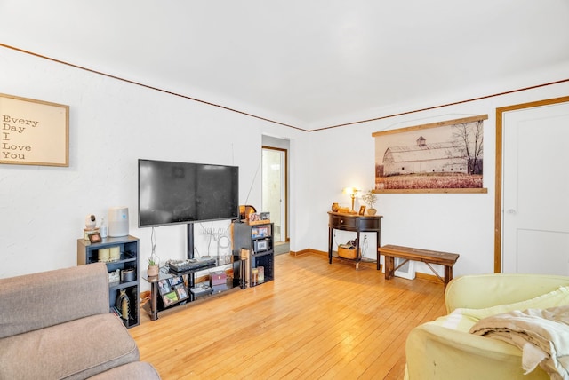 living room featuring wood-type flooring