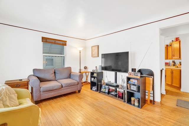 living room with light wood-type flooring