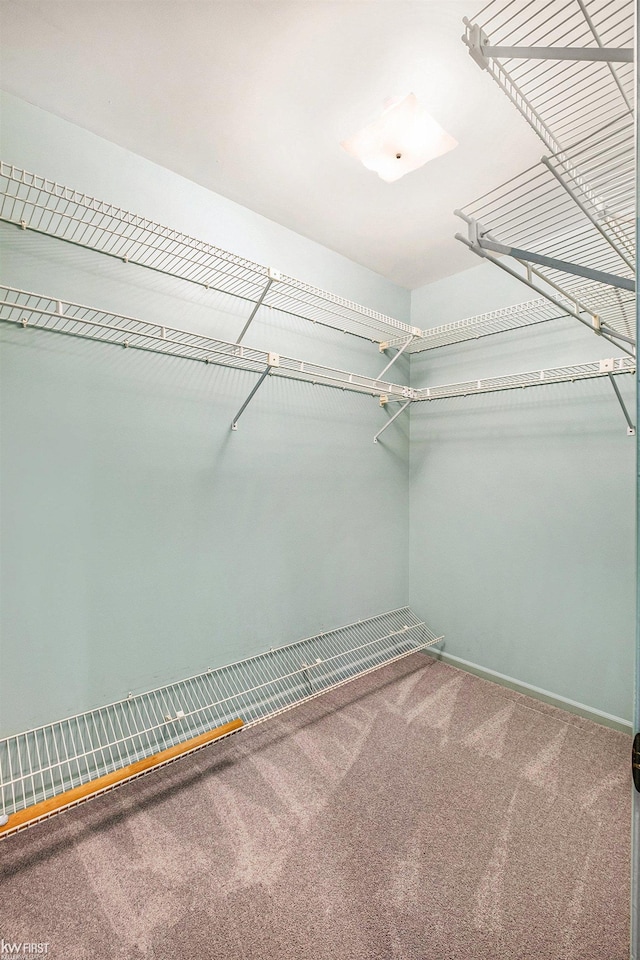 spacious closet with carpet