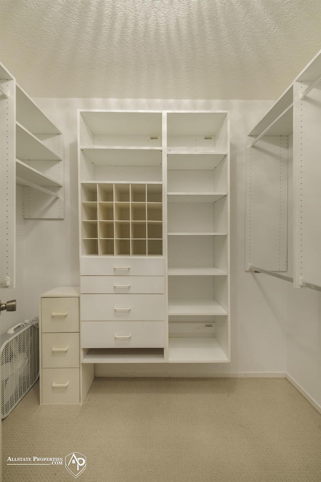 spacious closet with light colored carpet