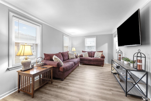 living room featuring ornamental molding and light wood-type flooring