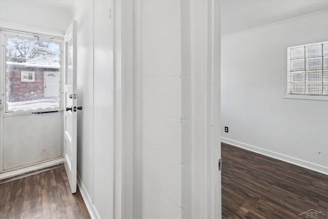 interior space featuring hardwood / wood-style floors and crown molding