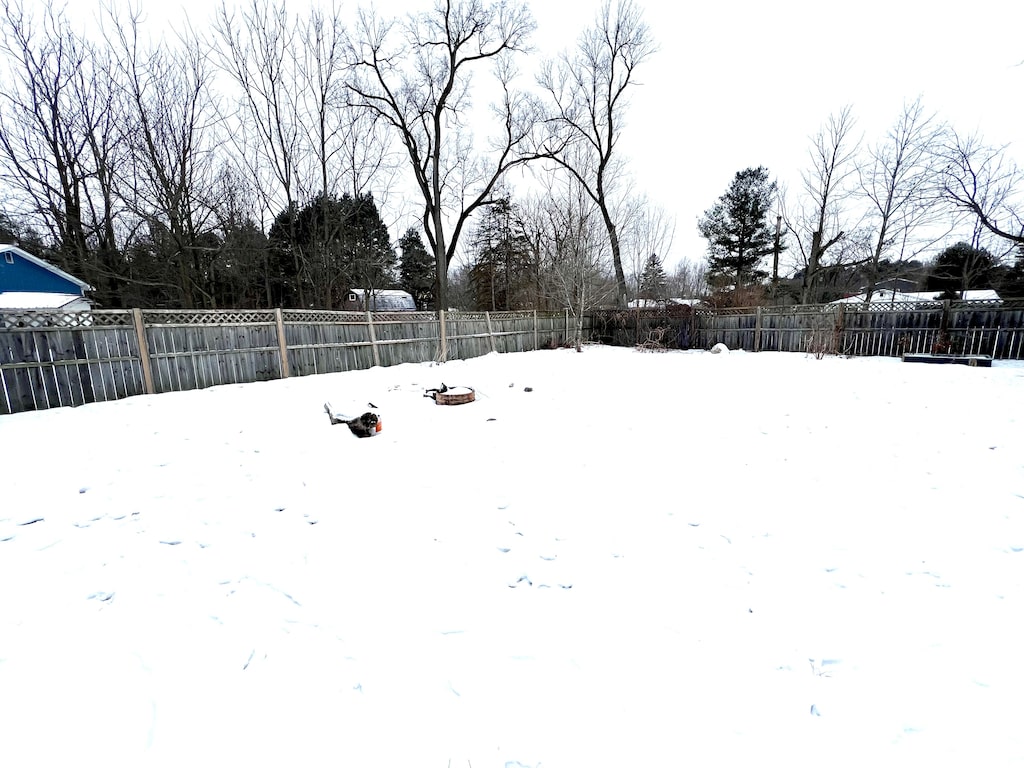 view of yard covered in snow