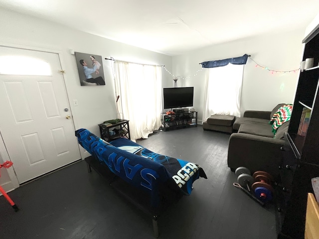 living room with a wealth of natural light and wood-type flooring