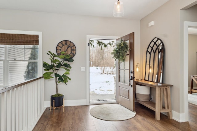 foyer entrance with a wealth of natural light and dark hardwood / wood-style flooring