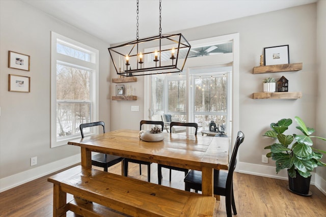 dining space with hardwood / wood-style flooring