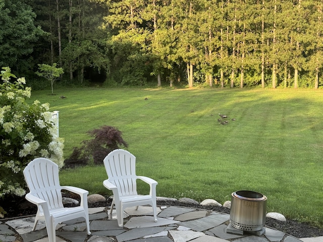 view of yard with a patio