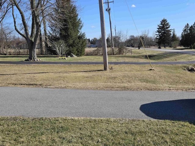 7412 N Webster Rd, Mount Morris, MI 48458 - view of road