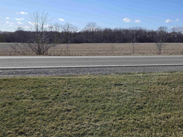 7412 N Webster Rd, Mount Morris, MI 48458 - view of yard