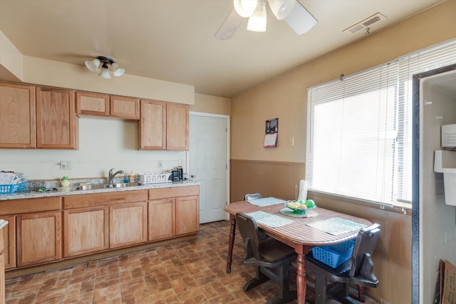 kitchen with a healthy amount of sunlight, sink, and ceiling fan