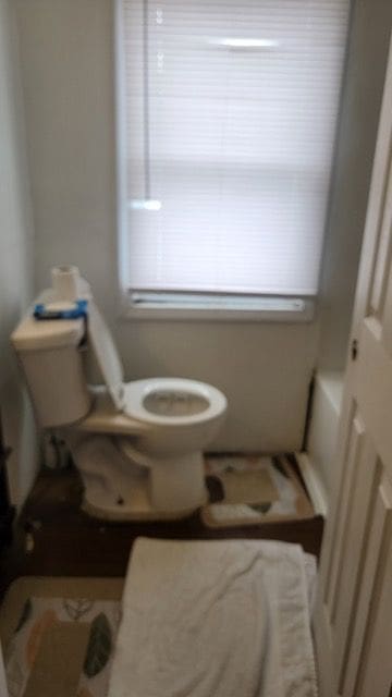 bathroom with toilet and a healthy amount of sunlight