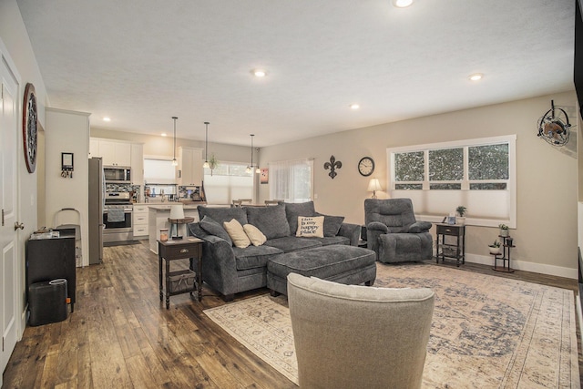 living room with dark hardwood / wood-style floors