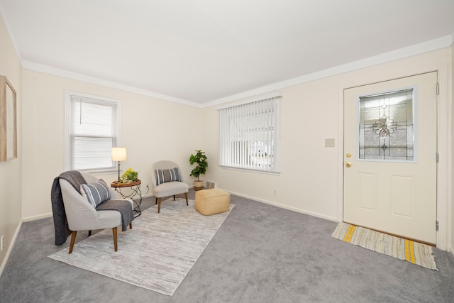 living area with crown molding and carpet flooring