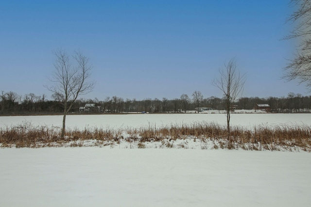 view of yard covered in snow