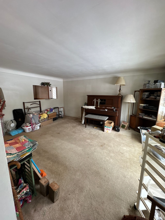 playroom with carpet floors