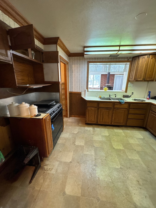 kitchen with ornamental molding, black range with electric stovetop, sink, and wood walls