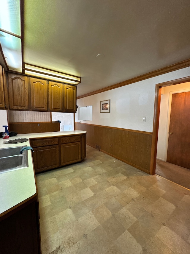 kitchen with crown molding and sink