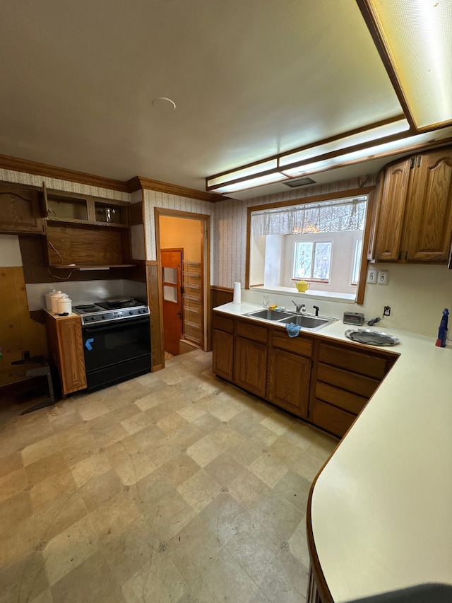 kitchen featuring ornamental molding, black range with electric stovetop, and sink