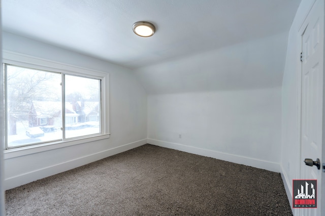 additional living space featuring carpet floors and vaulted ceiling