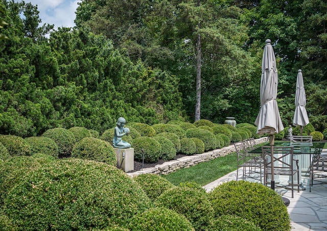 view of yard with a patio area