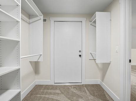 spacious closet featuring carpet floors