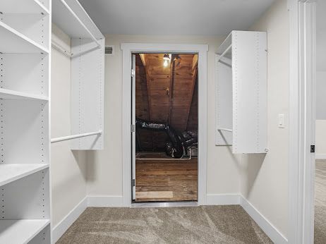 spacious closet with carpet