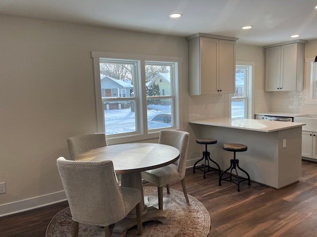 dining area featuring plenty of natural light, dark wood-type flooring, and sink