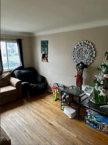 living room with wood-type flooring