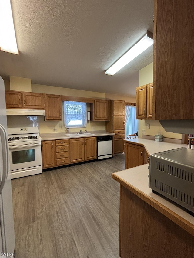 kitchen featuring sink, white appliances, a textured ceiling, and light wood-type flooring