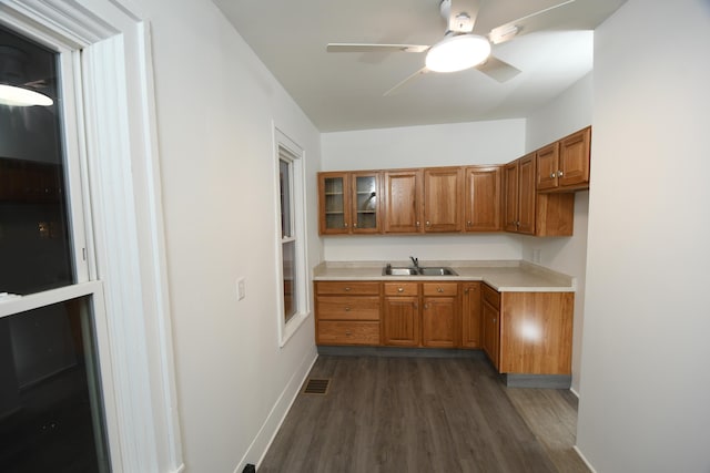 kitchen with ceiling fan, sink, and dark hardwood / wood-style flooring