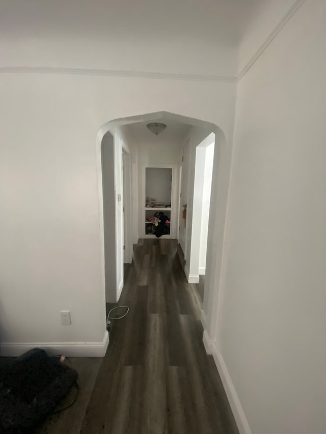 hallway featuring dark wood-type flooring