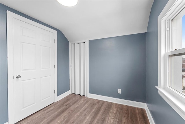 interior space featuring wood-type flooring and lofted ceiling