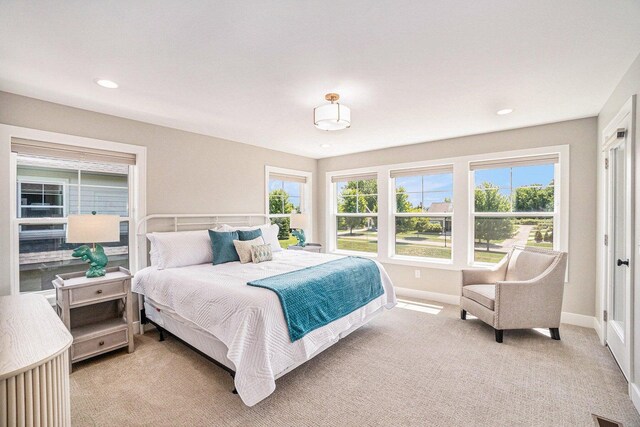 108 Elkenburg St Unit 18, South Haven, MI 49090 - bedroom featuring light carpet and multiple windows