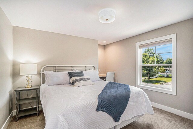 108 Elkenburg St Unit 18, South Haven, MI 49090 - view of carpeted bedroom