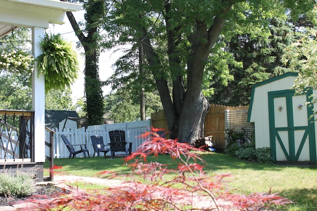 view of yard with a shed