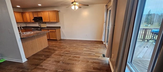 kitchen with ceiling fan, sink, and dark hardwood / wood-style flooring