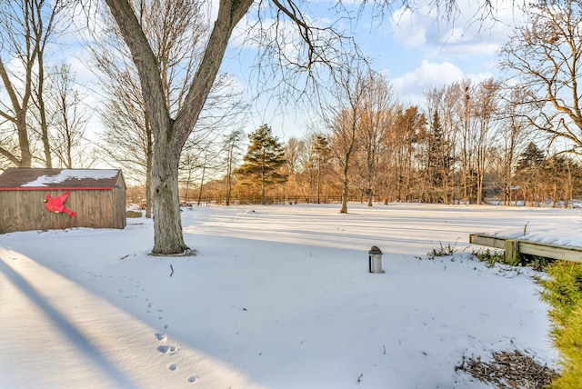 view of snowy yard