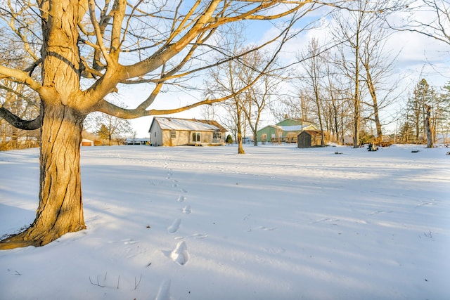 snowy yard with a storage unit