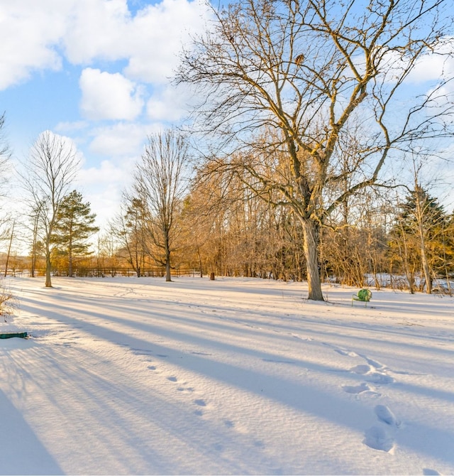 view of snowy yard