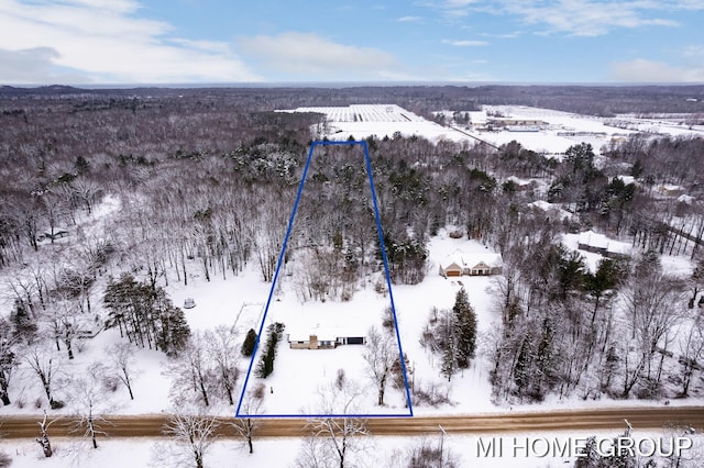 view of snowy aerial view