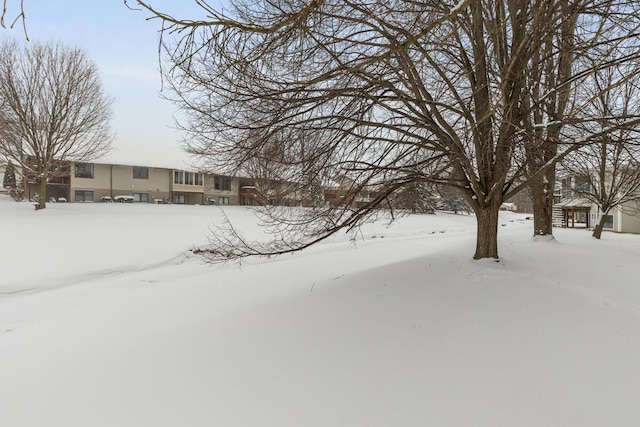 view of yard covered in snow