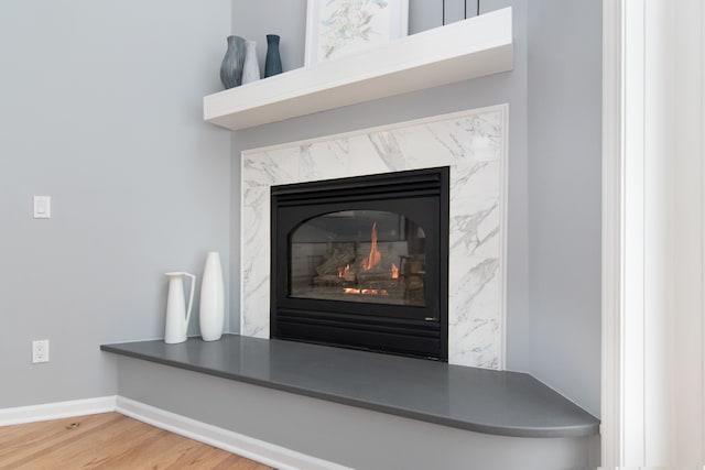 details featuring wood-type flooring and a fireplace