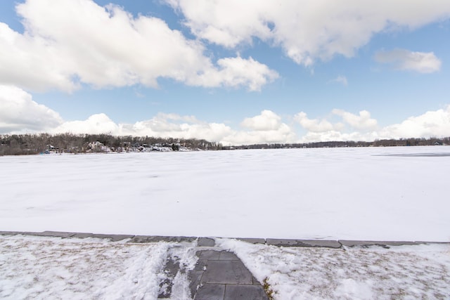 view of snowy yard