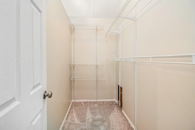 walk in closet with light carpet