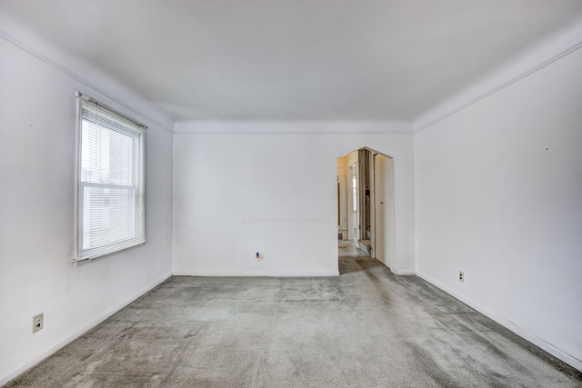 carpeted empty room with crown molding