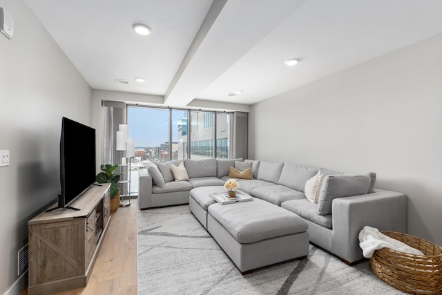 living room with light hardwood / wood-style flooring