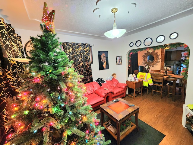 living room with hardwood / wood-style flooring and a textured ceiling