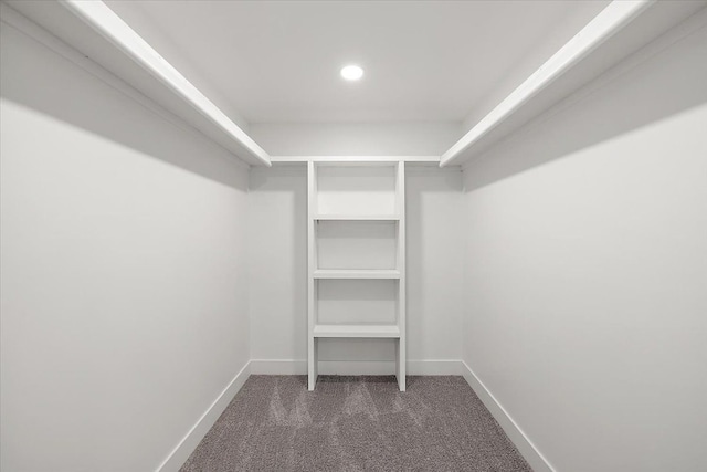 walk in closet with dark colored carpet