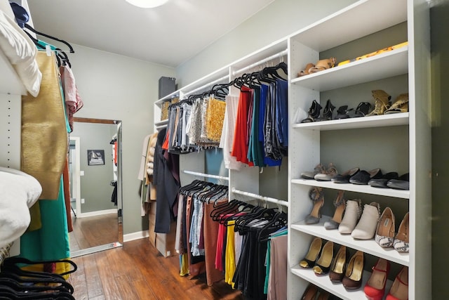 372 Overlook Dr, Oxford, MI 48371 - walk in closet featuring hardwood / wood-style flooring
